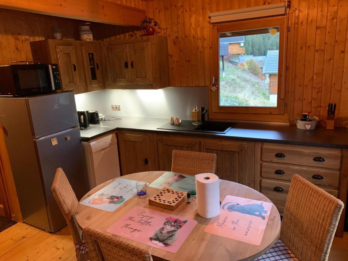 Chalet Proche Morzine Et Lac Leman Wifi Offert Le Biot Экстерьер фото